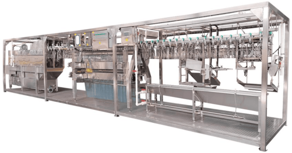 500 BPH Chicken Slaughtering Line