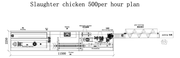 500 BPH Chicken Slaughtering Line