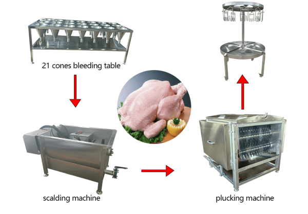 21 Cones Bleeding Table