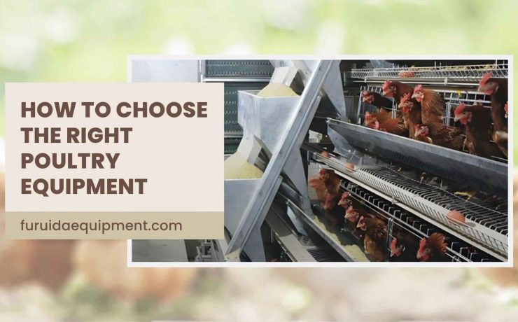 How to Choose the Right Poultry Equipment-min