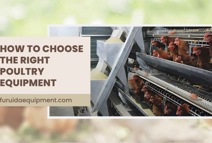 How to Choose the Right Poultry Equipment-min