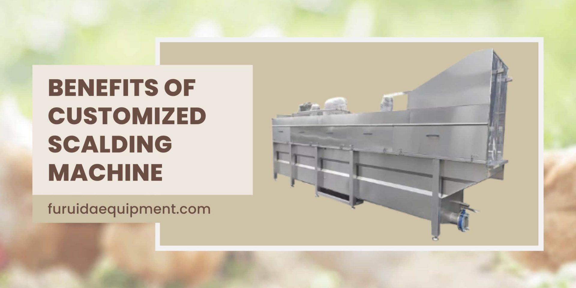 Benefits of Customized Scalding Machine