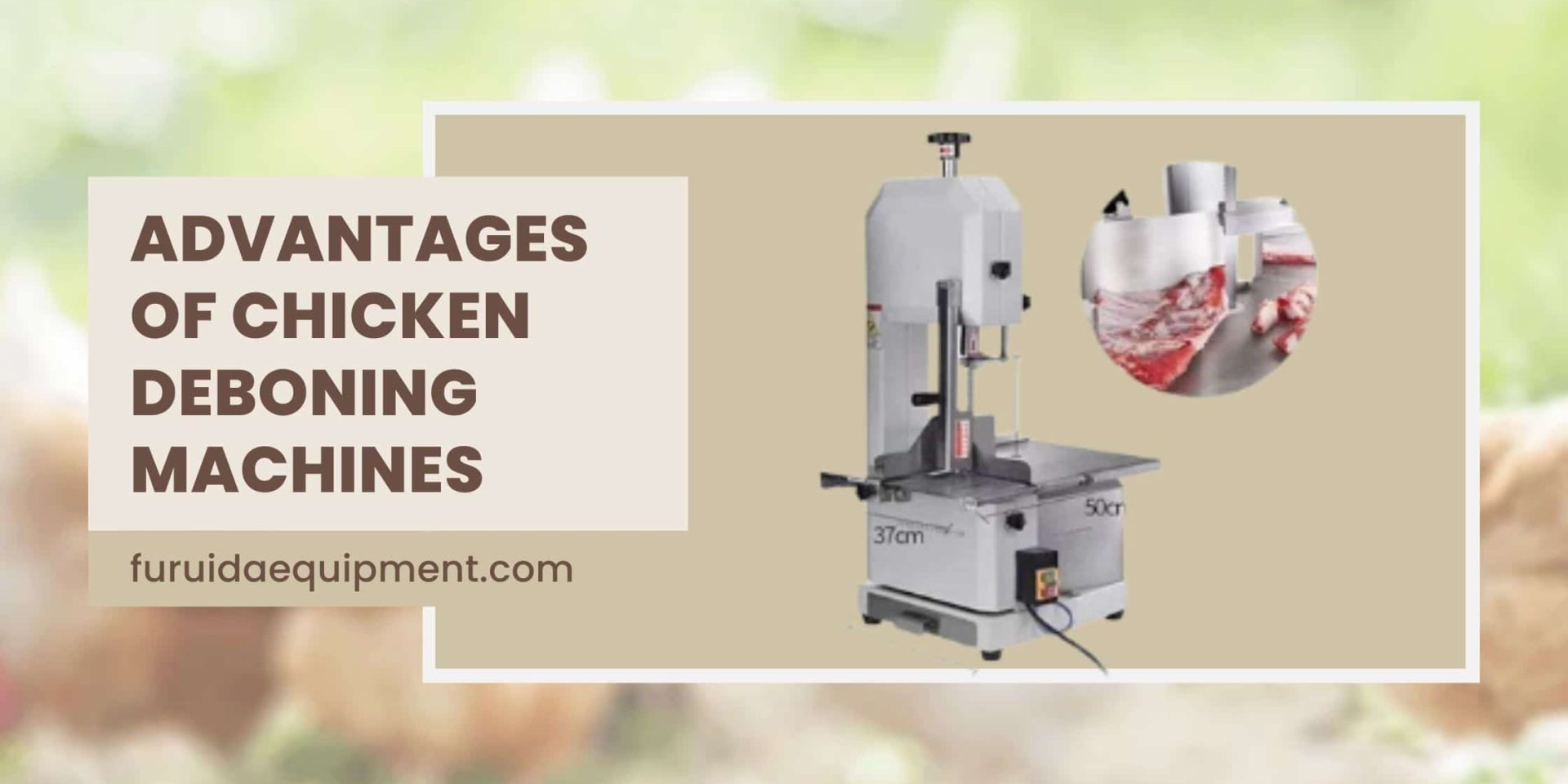 Advantages of Chicken Deboning Machines