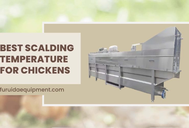 Best Scalding Temperature for Chickens