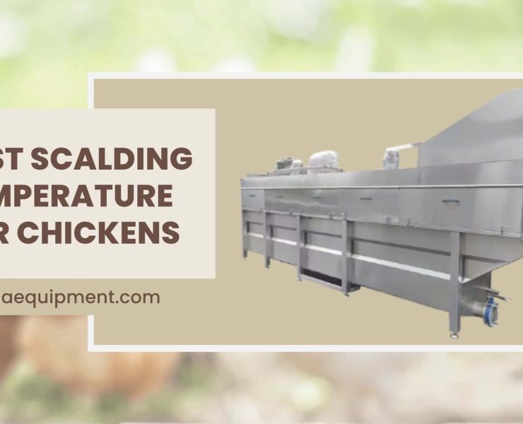 Best Scalding Temperature for Chickens