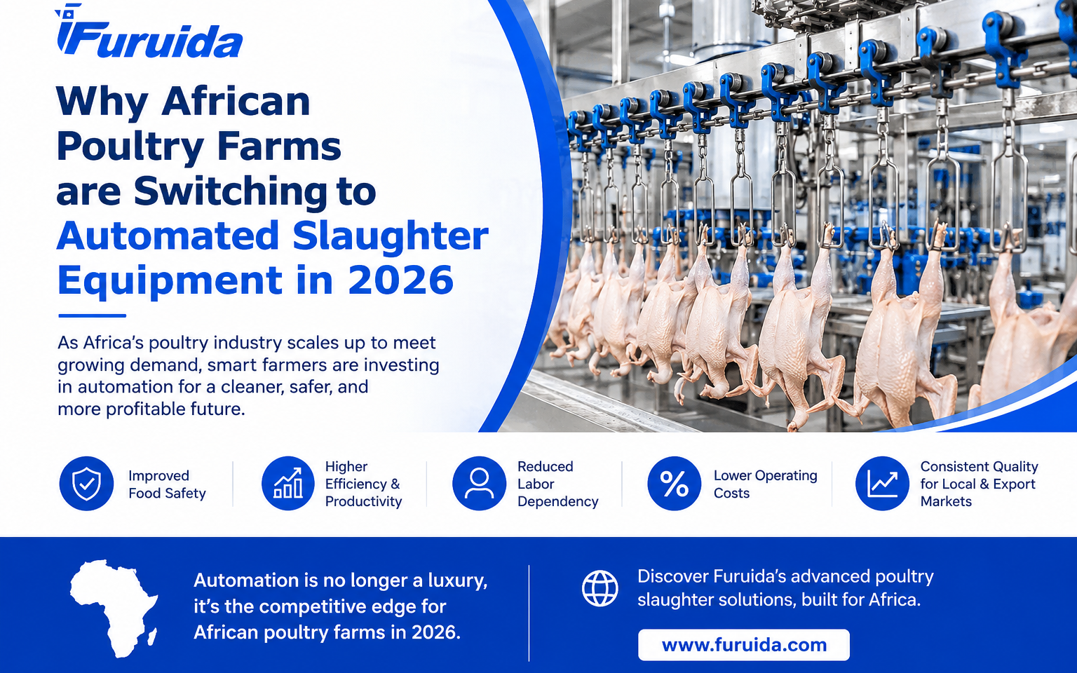 automated slaughter equipment