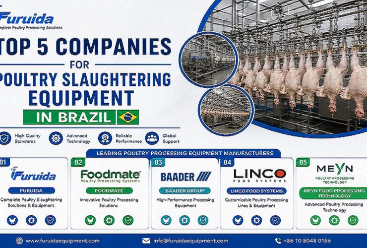 Top 5 Companies for Poultry Slaughtering Equipment in Brazil