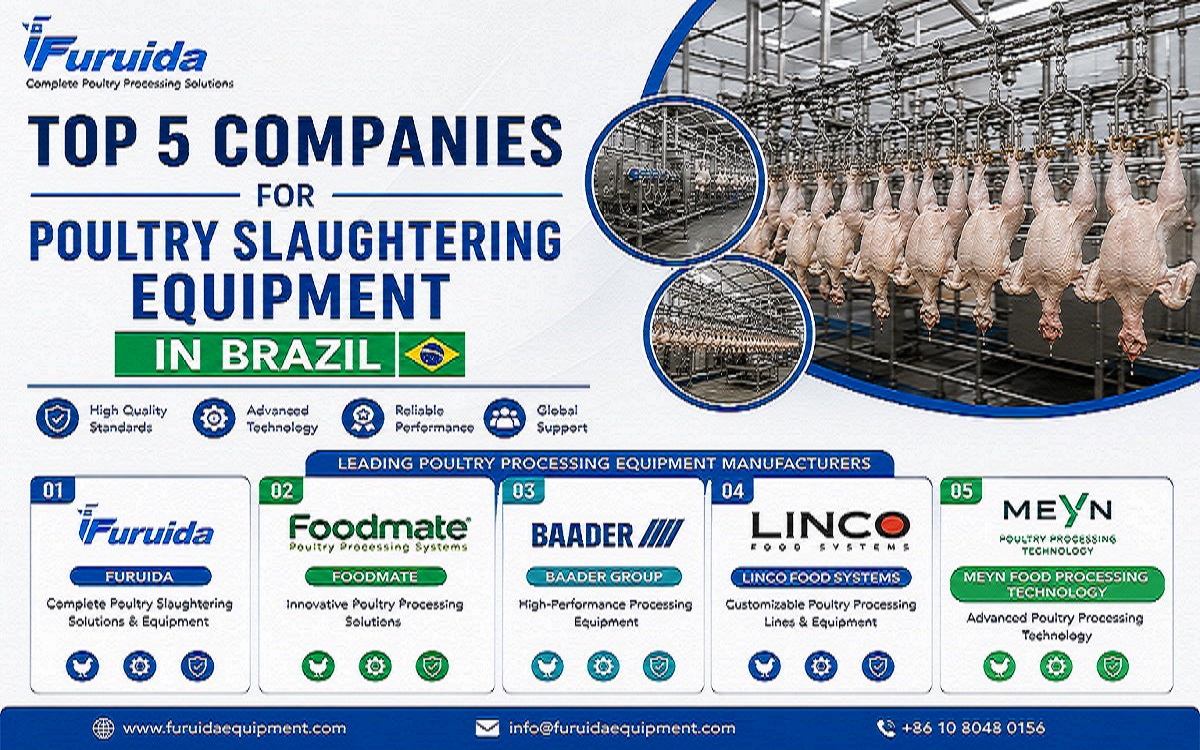 Top 5 Companies for Poultry Slaughtering Equipment in Brazil