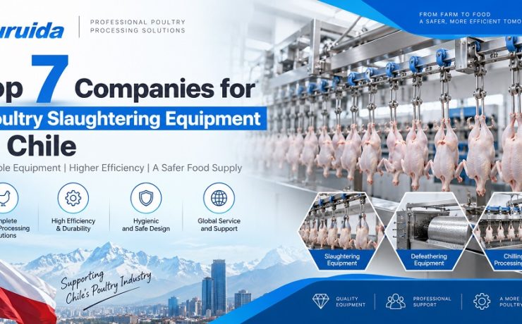 Poultry Slaughtering Equipment in Chile