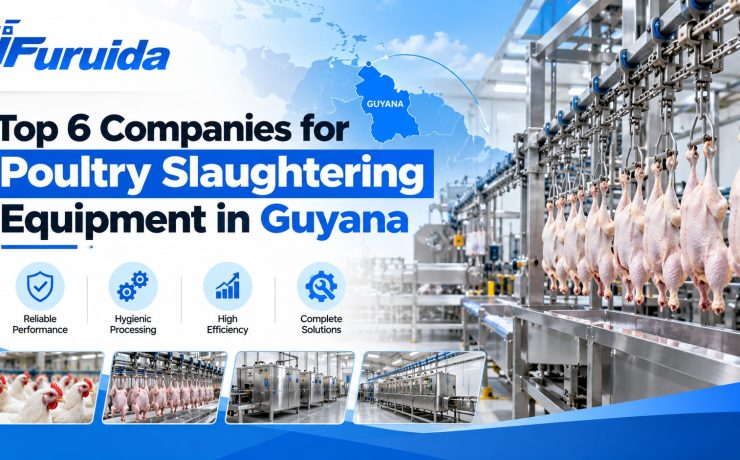 Top 6 Poultry Equipment Companies in Guyana