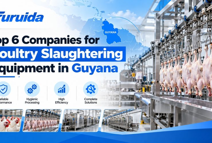 Top 6 Poultry Equipment Companies in Guyana
