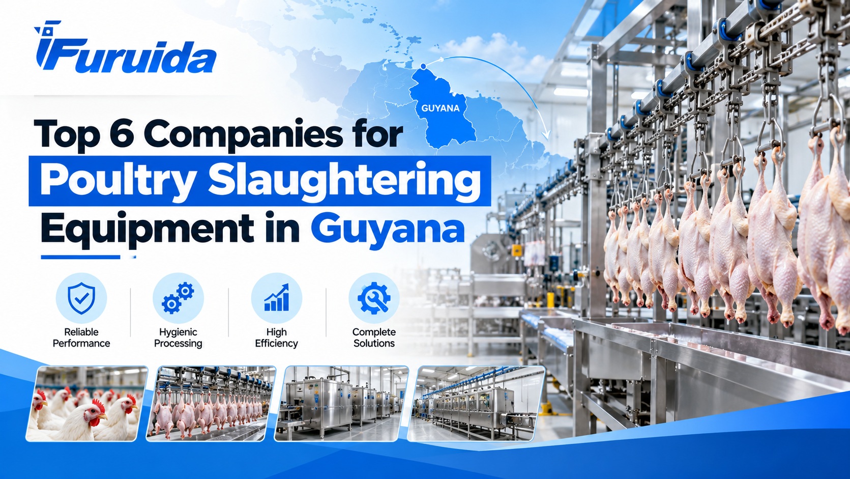 Top 6 Poultry Equipment Companies in Guyana